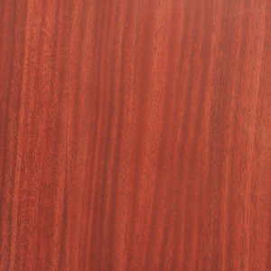 Cabinet particle board melamine paper design ptxy-8160